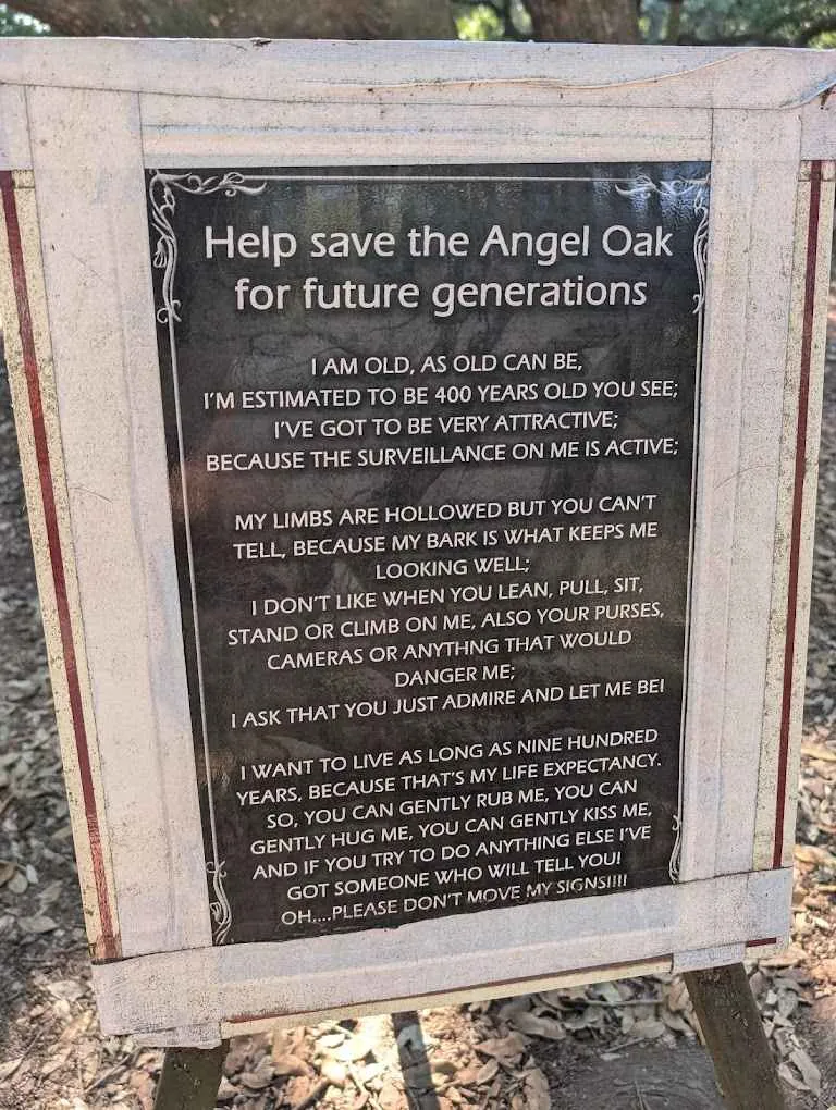 help save the angel oak for future generations