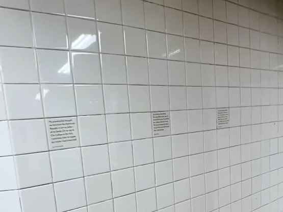 The quotes reflect immigrant experiences in New York