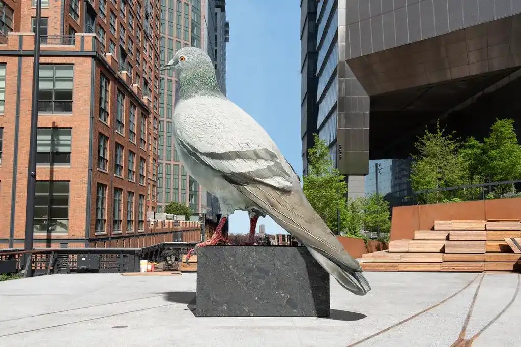 High Line manhattan giant pigeon