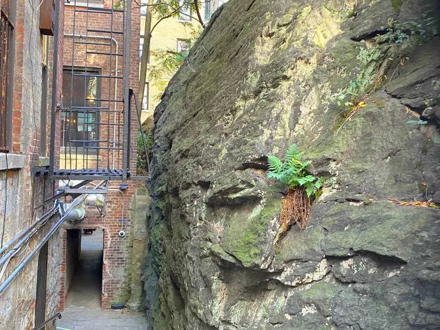 rat rock columbia university