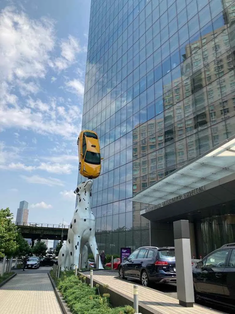 hassenfeld children's hospital dog