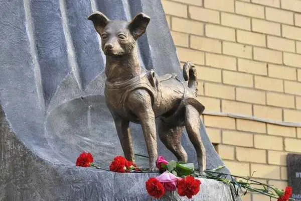 Monument to Laika, the first dog to orbit the Earth, in Moscow