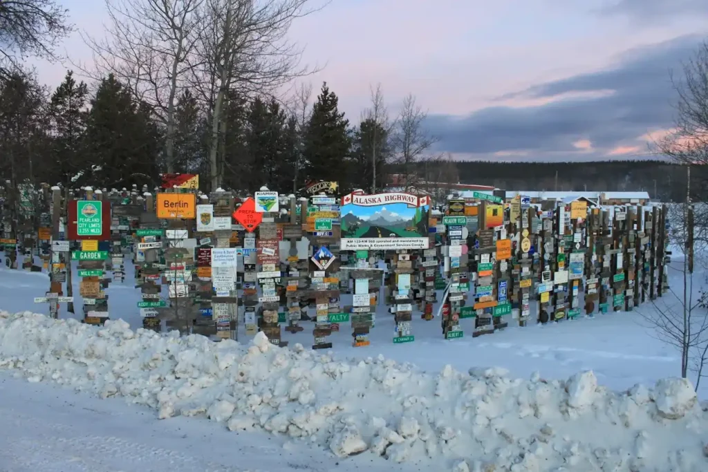 The signpost forest in winter