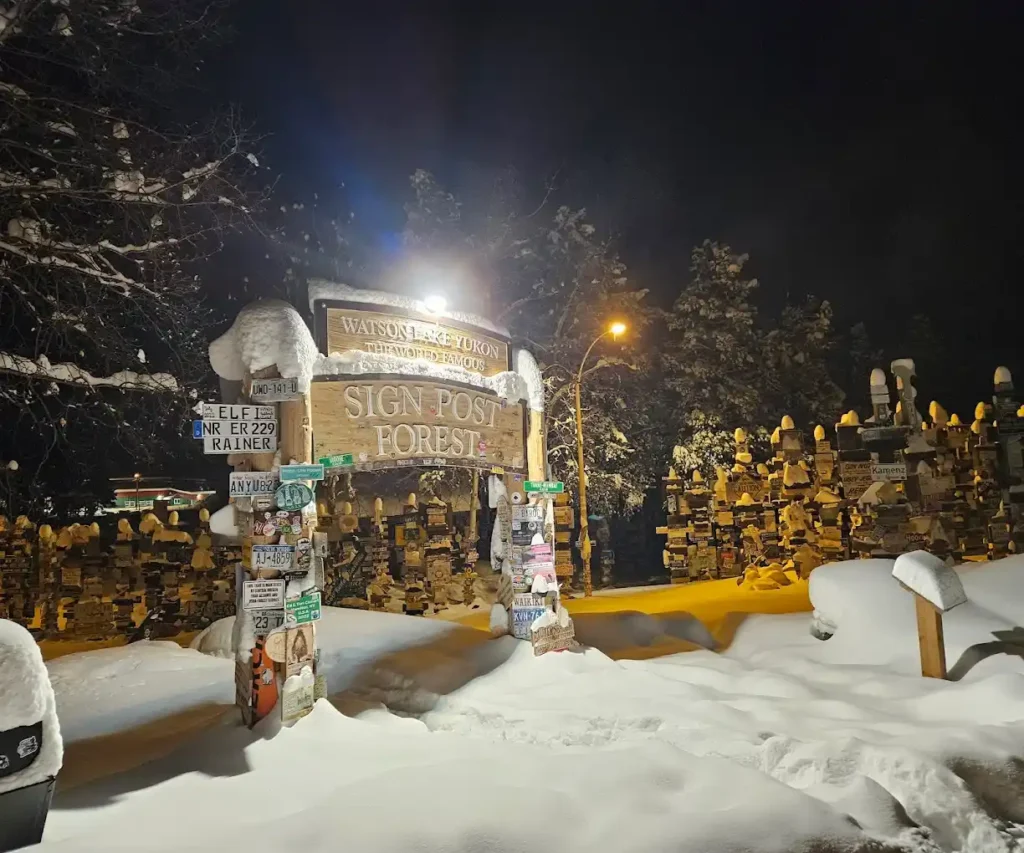 Main entrance to Sign Post Forest at night in winter