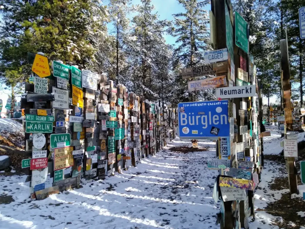 A corridor in the Sign Post Forest during winter