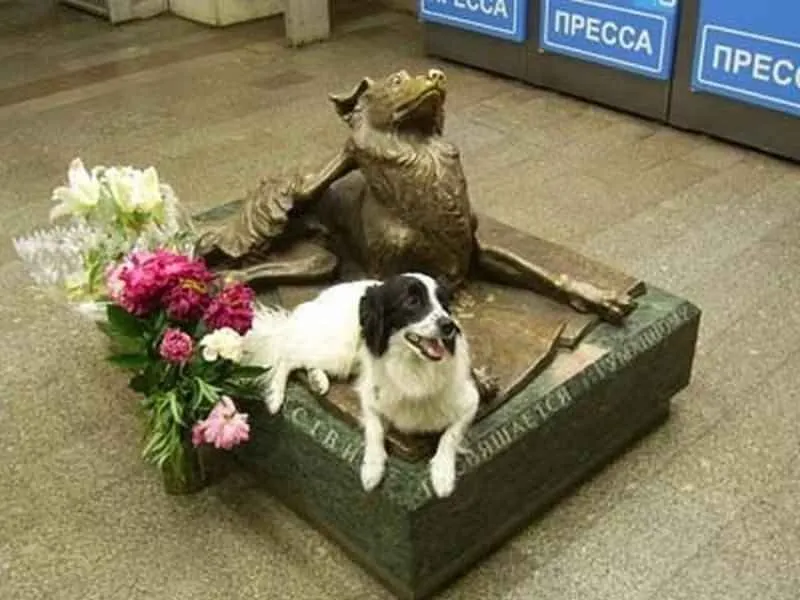 A real dog rests next to the bronze dog statue